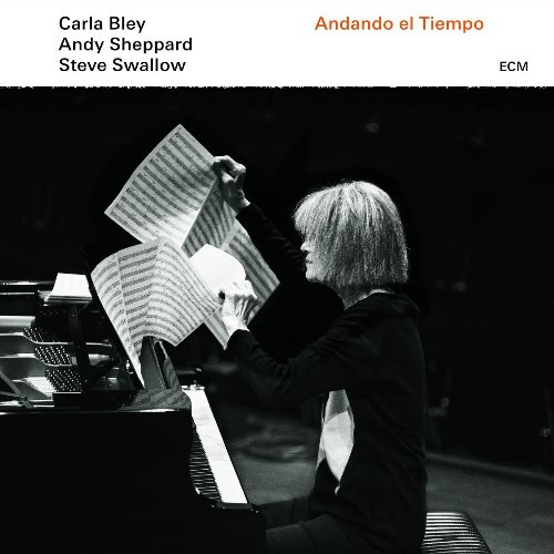 Carla Bley / Andy Sheppard / Steve Swallow - Andando El Tiempo [180g LP] 칼라 블라이